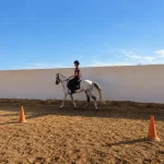 Cours particuliers 