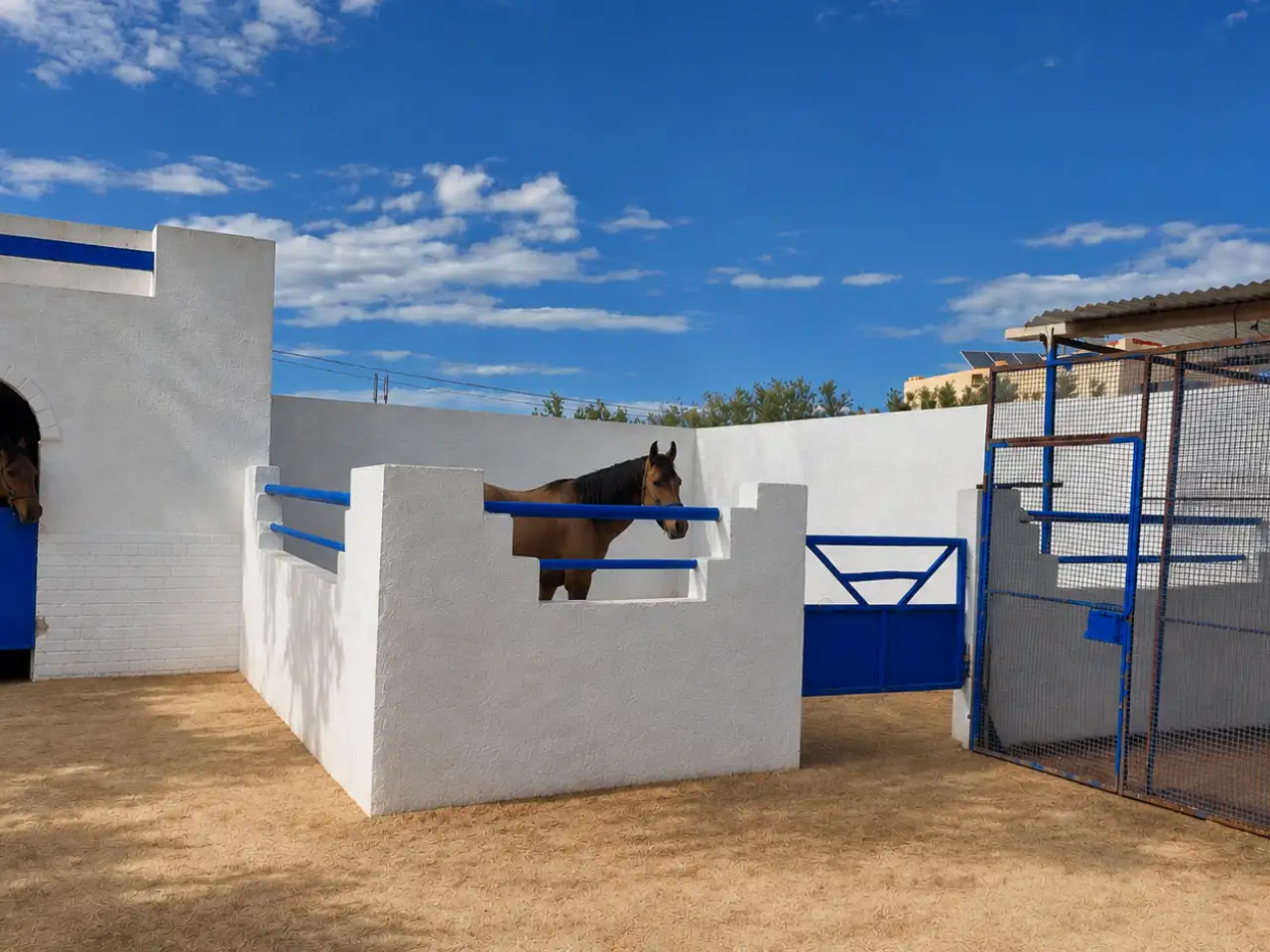 club-equestre-arkou-djerba-2