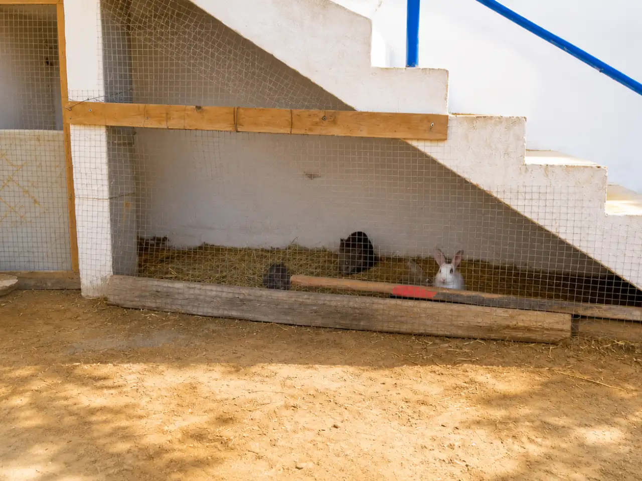 club-equestre-arkou-djerba-7